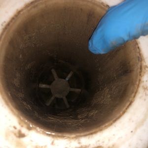 Meet your Posher, Lee